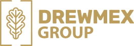 Drewmex Group Logo